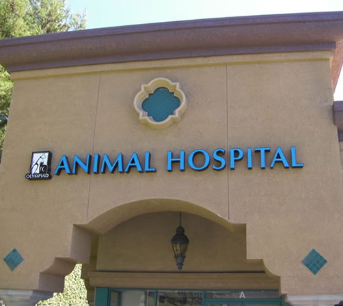 Mission Viejo Animal Hospital | Olympiad Animal Hospital & Vet Services