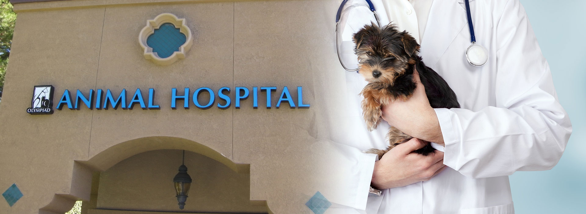 Mission Viejo Animal Hospital | Olympiad Animal Hospital & Vet Services